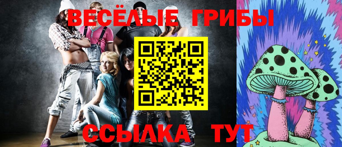 Псилоцибиновые грибы Cubensis  Вход с VPN  продажа наркотиков  Галлюциногенные грибы мицелий  Шахты 