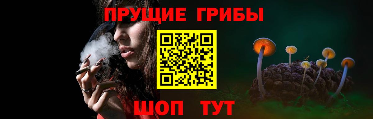 Галлюциногенные грибы Psilocybe Шахты