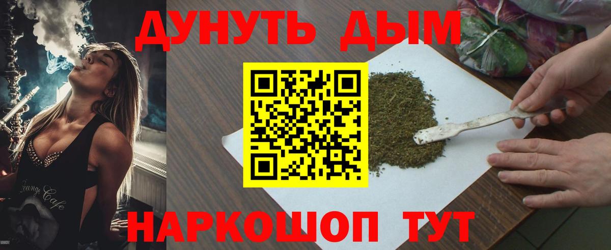 Канабис планчик Шахты